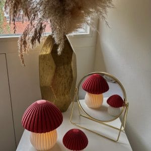 Paddenstoelen lampjesset